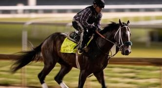 Just Steel: Preakness Stakes Horse Odds, History and Prediction