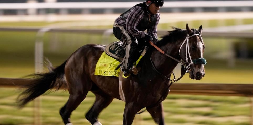 Just Steel: Preakness Stakes Horse Odds, History and Prediction
