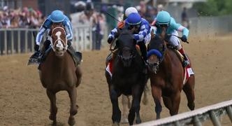 Uncle Heavy: Preakness Stakes Horse Odds, History and Prediction