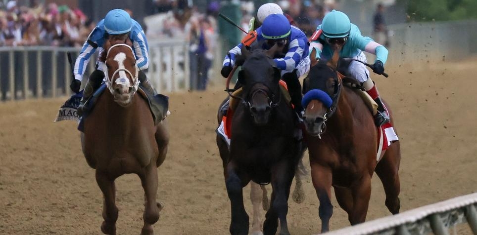 Uncle Heavy: Preakness Stakes Horse Odds, History and Prediction