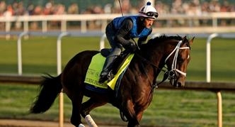Catching Freedom: Preakness Stakes Horse Odds, History and Prediction