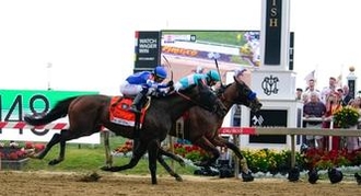 Mugatu: Preakness Stakes Horse Odds, History and Prediction