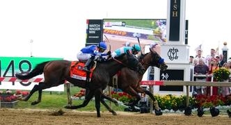How Long Is the Preakness Stakes? (How Many Miles and How Much Time Will it Take in 2024?)