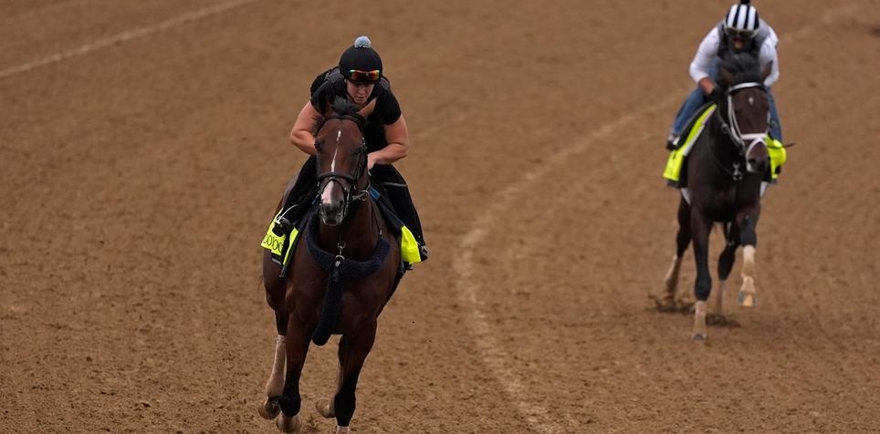 Dornoch: Kentucky Derby Horse Odds, History and Prediction
