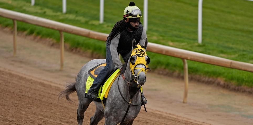 West Saratoga: Kentucky Derby Horse Odds, History and Prediction