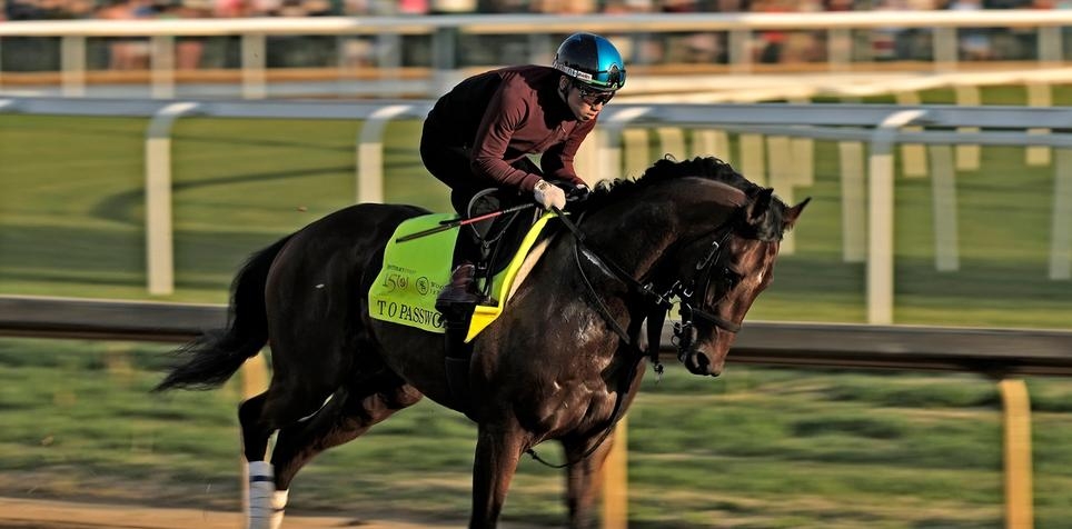 T O Password: Kentucky Derby Horse Odds, History and Prediction