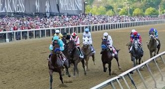 Fastest Preakness Stakes Times: 5 Quickest Horses in Preakness History