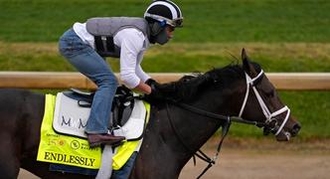 Endlessly: Kentucky Derby Horse Odds, History and Prediction