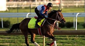 Forever Young: Kentucky Derby Horse Odds, History and Prediction