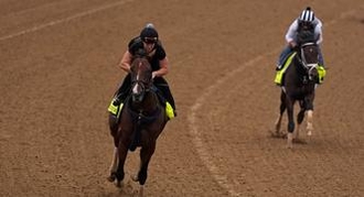 Dornoch: Kentucky Derby Horse Odds, History and Prediction