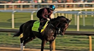 T O Password: Kentucky Derby Horse Odds, History and Prediction