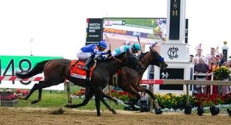 Who Won the 2023 Preakness Stakes?