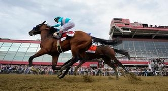 3 Best Bets for the 2024 Preakness Stakes