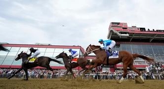Seize the Grey: Preakness Stakes Horse Odds, History and Prediction