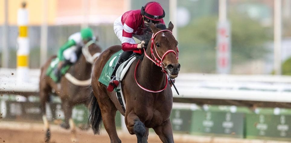 2024 UAE Derby Betting Odds and Contenders Preview