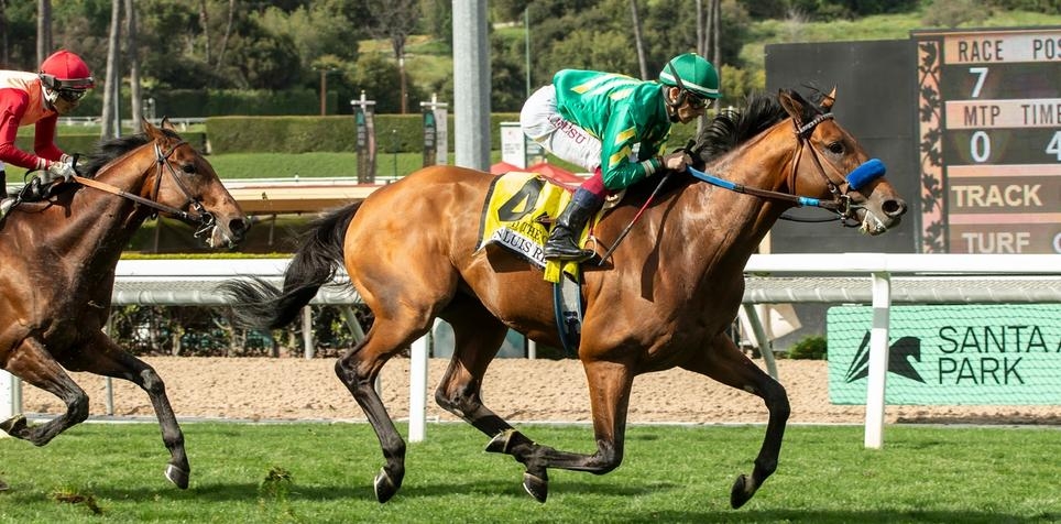 2024 Santa Anita Derby Betting Odds and Contenders Preview