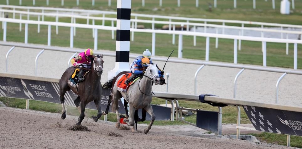 2024 Florida Derby Betting Odds and Contenders Preview