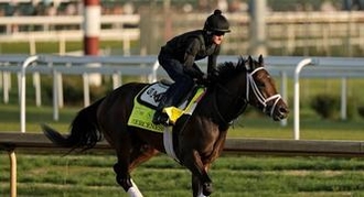 Fierceness: Kentucky Derby Horse Odds, History and Prediction