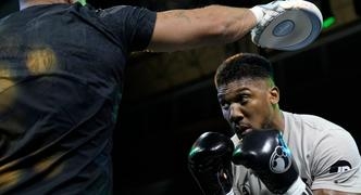 Anthony Joshua vs. Francis Ngannou: Odds, How to Watch Heavyweight Bout