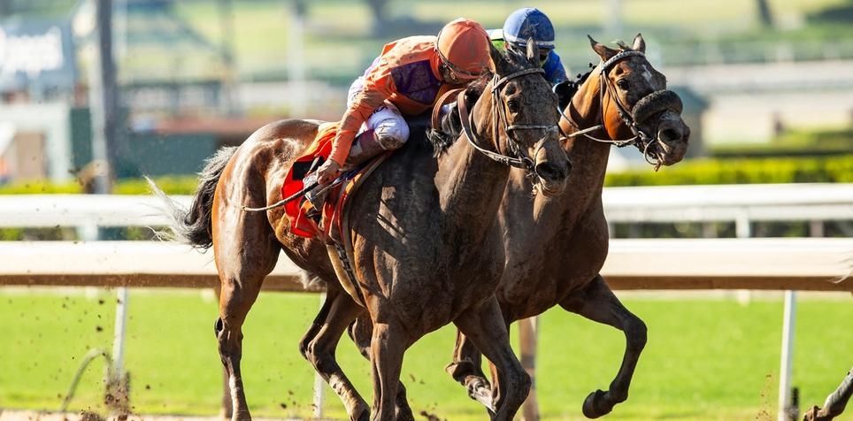 Horse Racing Best Bets for Tuesday 4/23/24
