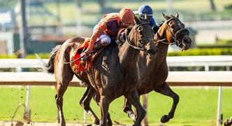 Horse Racing Best Bets for Tuesday 4/23/24