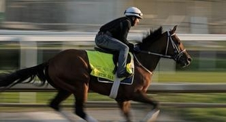 Mystik Dan: Kentucky Derby Horse Odds, History and Prediction