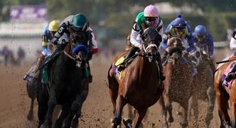 2024 Gotham Stakes Betting Odds and Contenders Preview