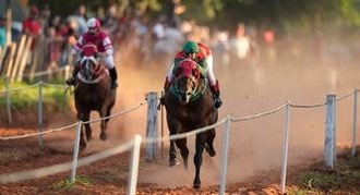 Horse Racing Best Bets for Tuesday 4/30/24