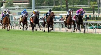 Horse Racing Best Bets for Friday 4/5/24