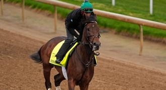 Resilience: Kentucky Derby Horse Odds, History and Prediction