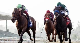 Horse Racing Best Bets for Friday 2/23/24