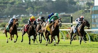 Horse Racing Best Bets for Friday 9/22/23