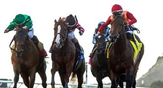 Horse Racing Best Bets for Wednesday 11/29/23