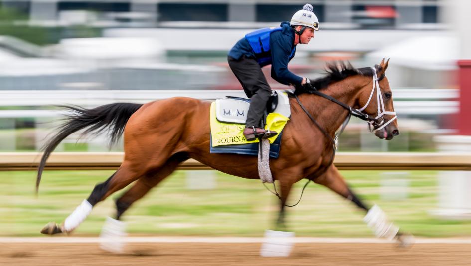 Preakness Stakes Odds, Picks & Predictions