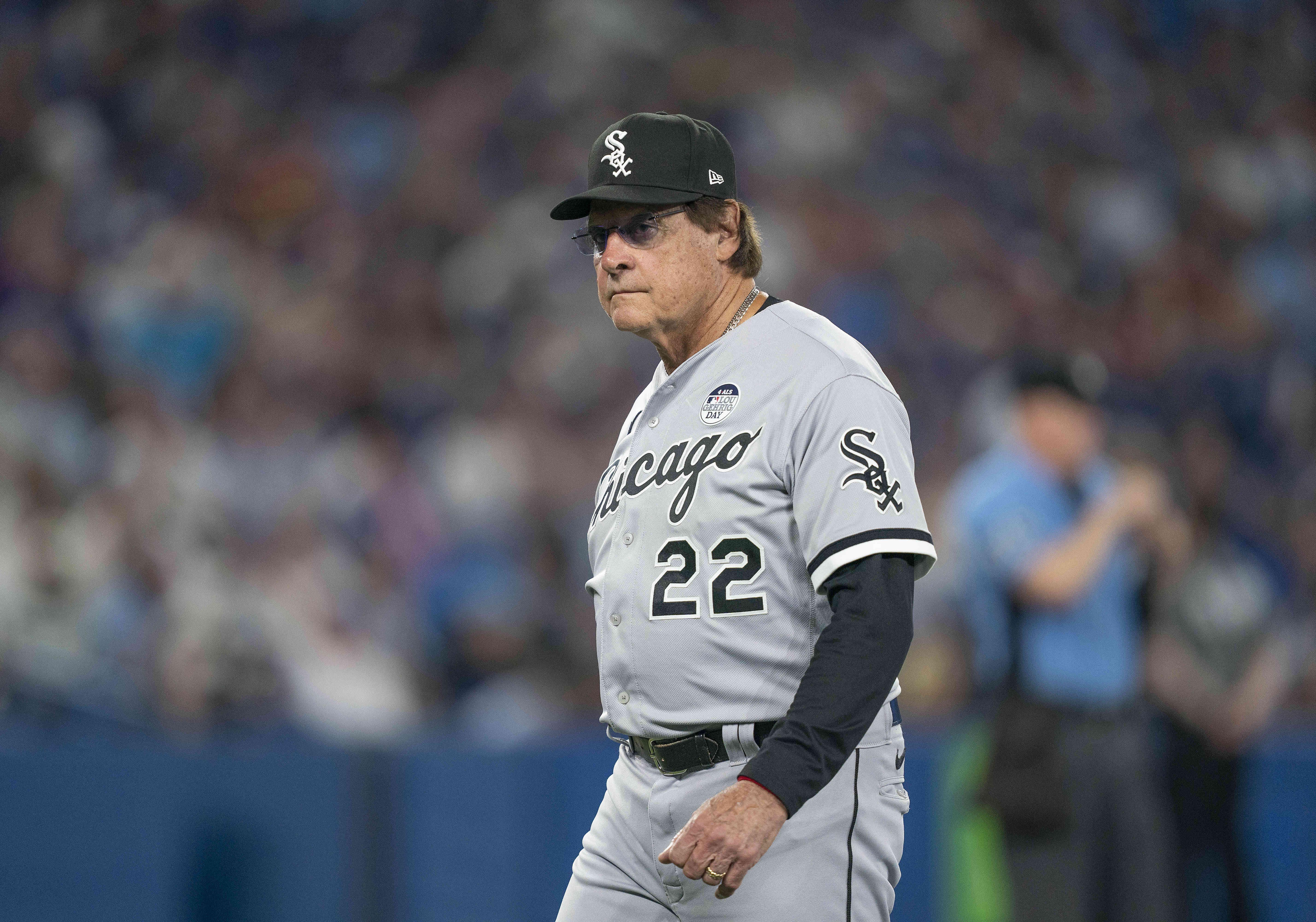 Rays vs White Sox Prediction, Odds, Moneyline, Spread & Over/Under for June 3