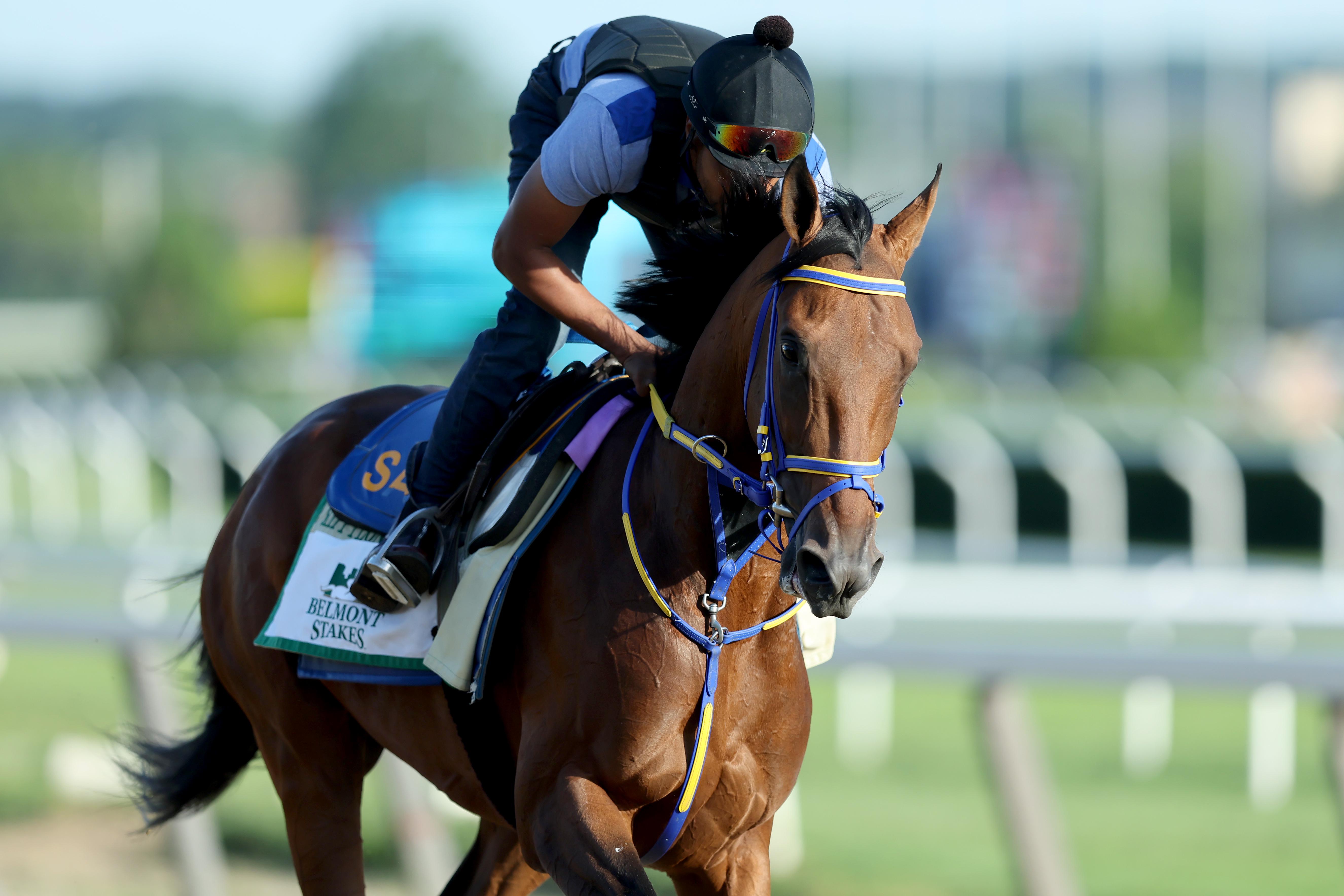 Skippylongstocking Belmont Stakes Horse Odds, History & Predictions