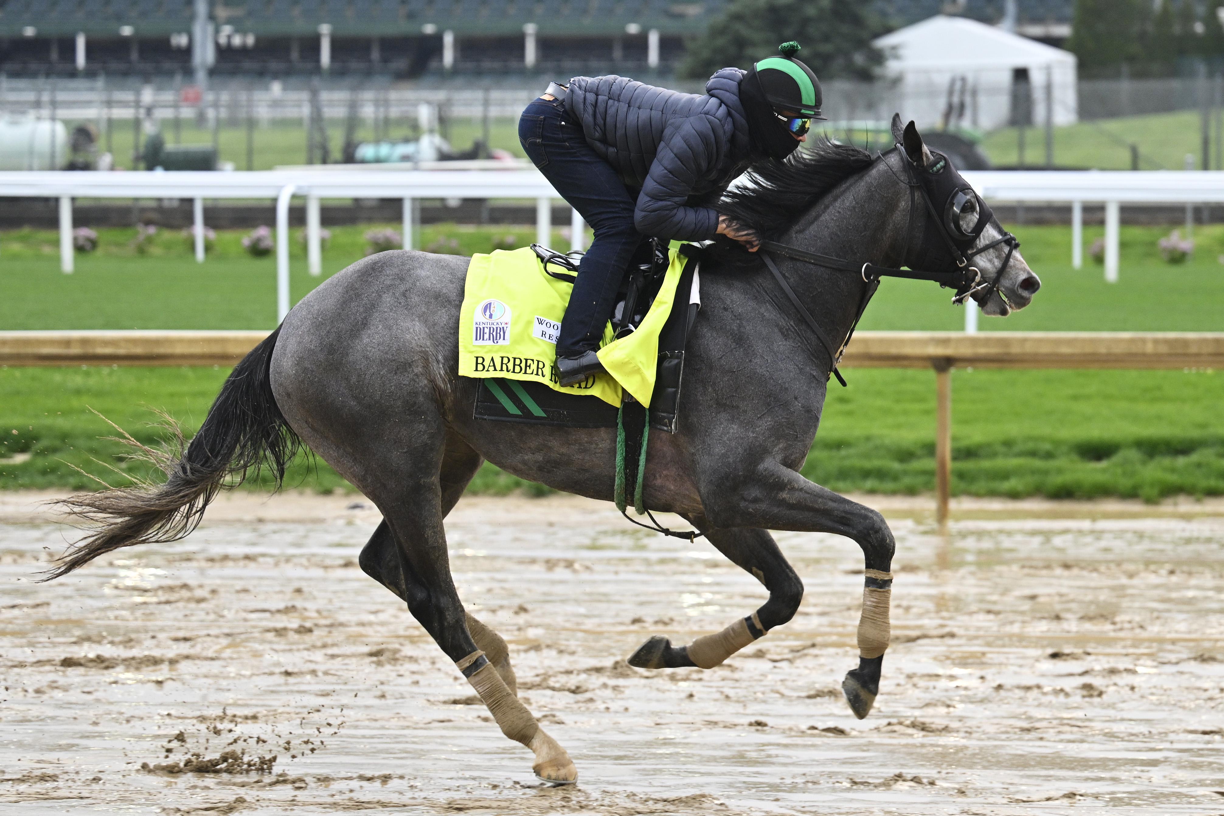 Barber Road Belmont Stakes Horse Odds, History & Predictions