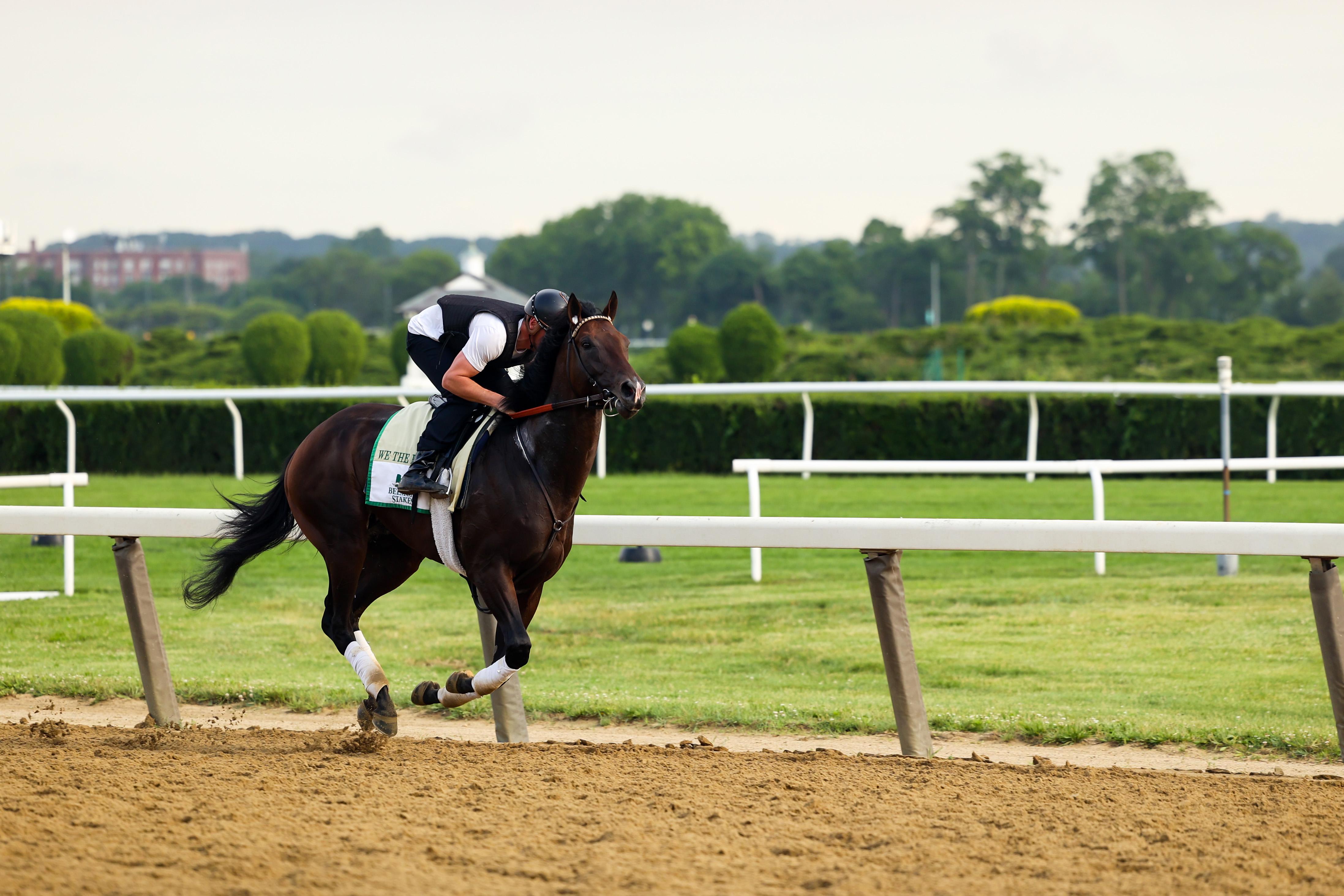 We the People Belmont Stakes Horse Odds, History & Predictions