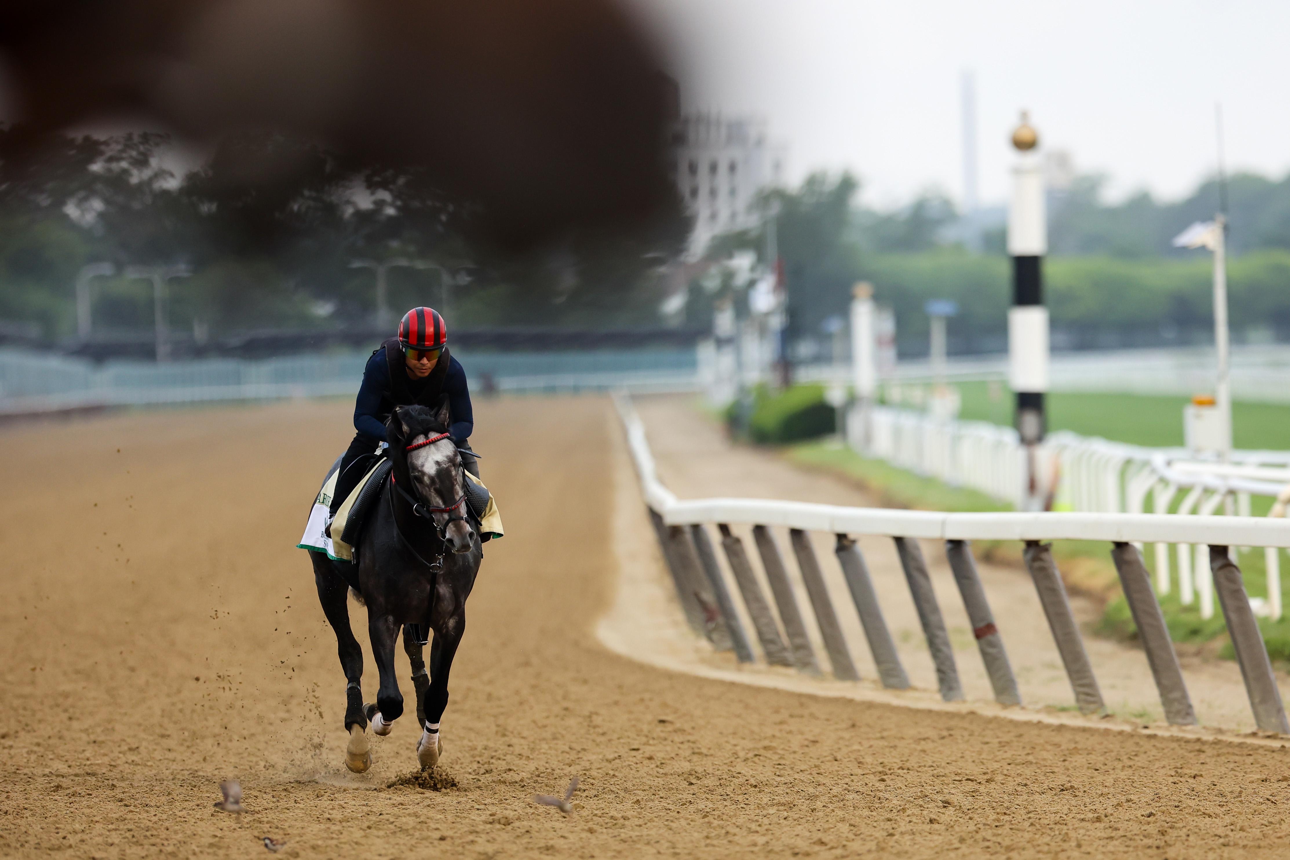 2022 Belmont Stakes Exacta and Trifecta Picks and Predictions