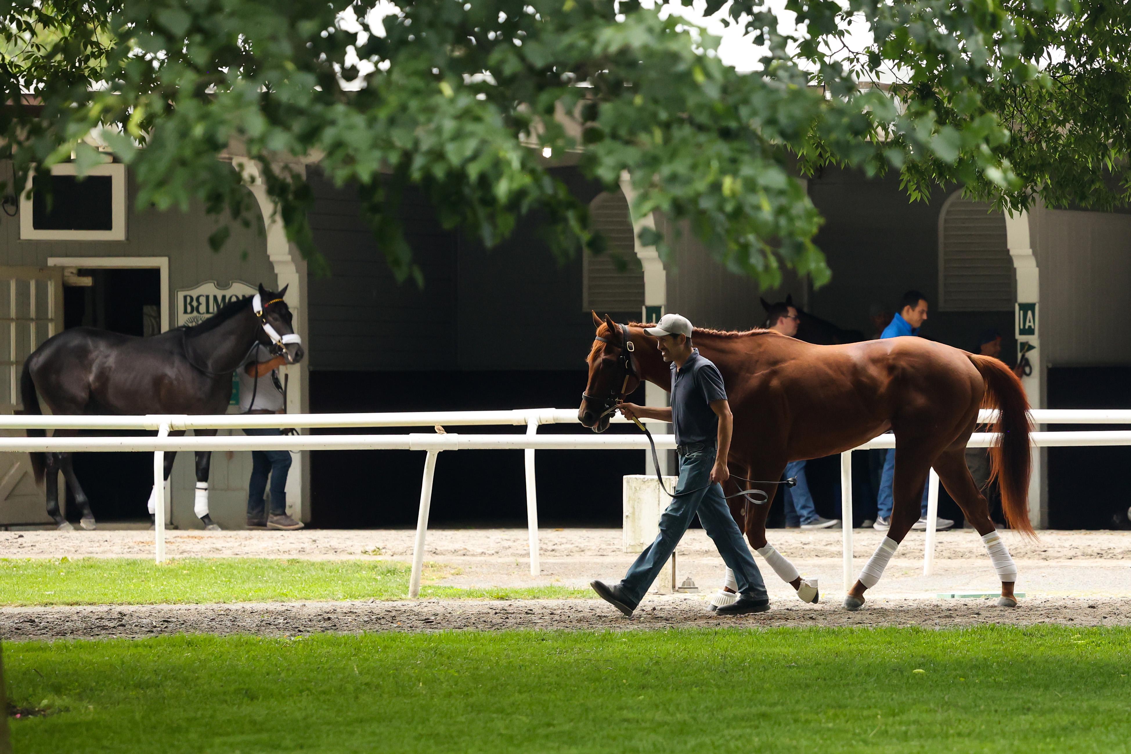 2022 Belmont Stakes Odds & Post Positions | The Duel