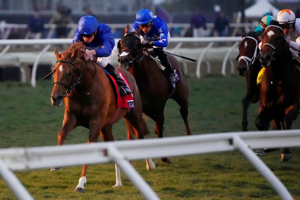 Del Mar Horse Racing Picks for Saturday 7/23/22
