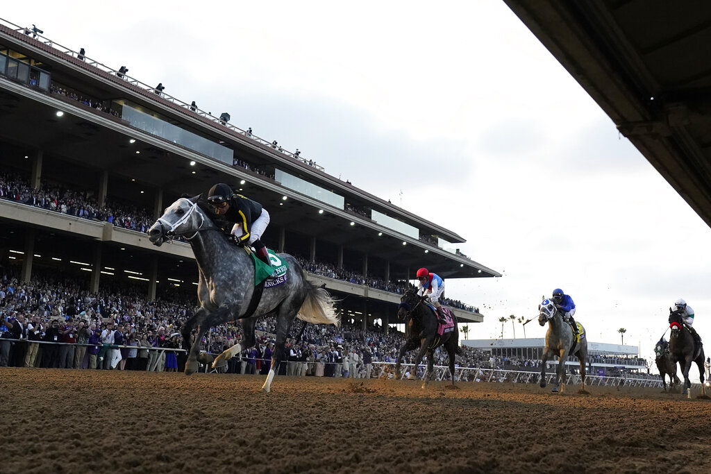 Breeders' Cup Distaff Contenders Announced for 2022