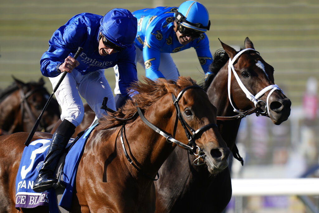 FanDuel Breeders' Cup Mile Contenders