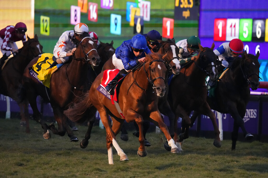 Breeders' Cup Juvenile Fillies Contenders