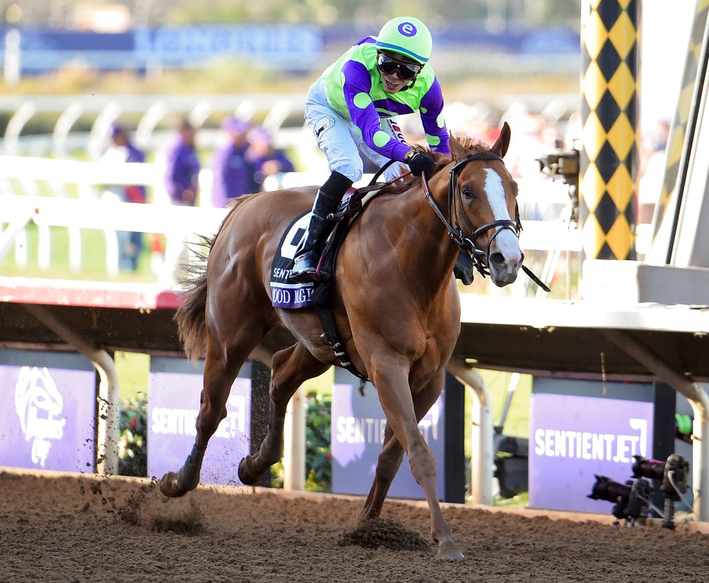 Breeders' Cup Juvenile 2022 Odds and Post Positions
