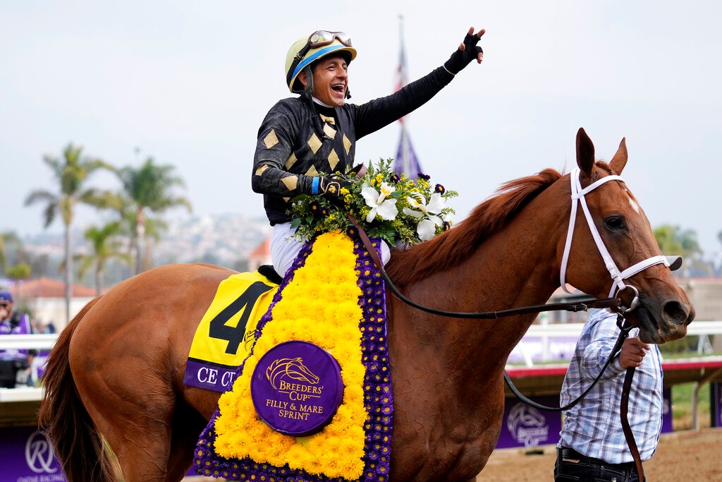 Breeders' Cup Filly & Mare Sprint 2022 Odds and Post Positions
