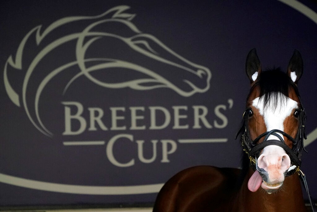 Breeders' Cup Dirt Mile 2022 Odds and Post Positions