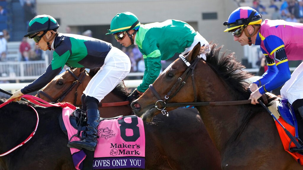 Breeders' Cup Juvenile Filly & Mare Turf 2022 Odds and Post Positions