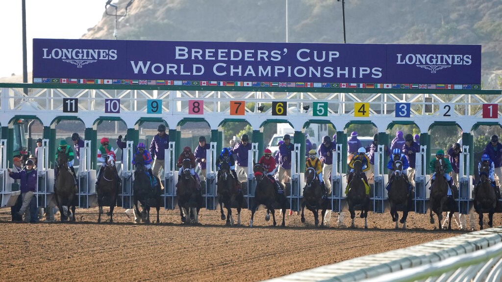 Breeders' Cup Distaff 2022 Odds and Post Positions