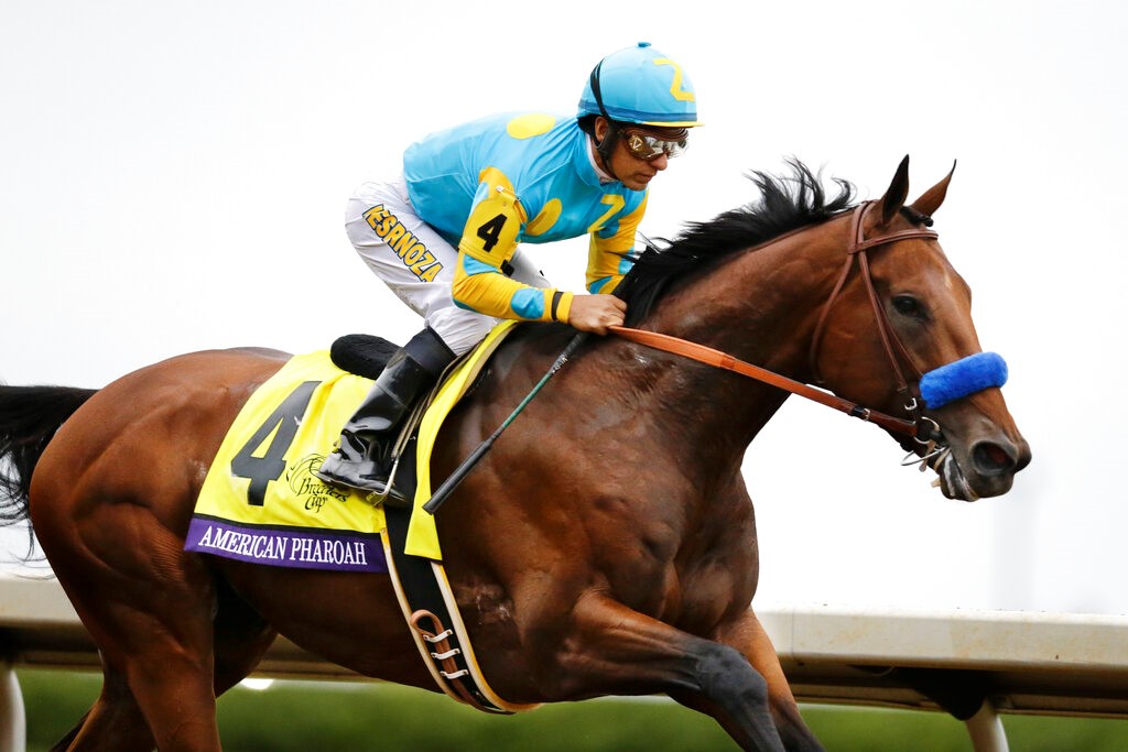 Breeders' Cup Classic 2022 Odds and Post Positions